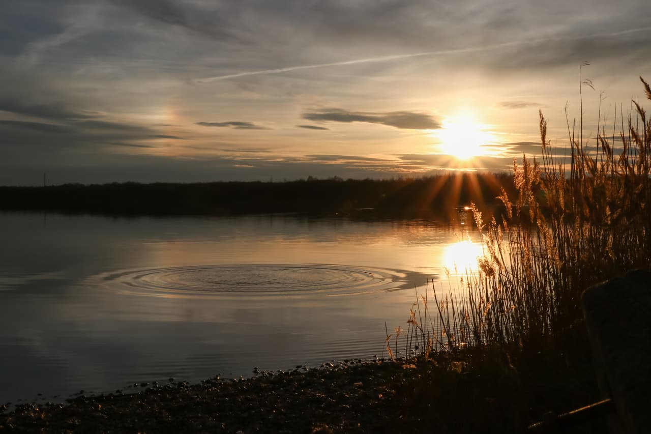 cospudener see sonnenuntergang