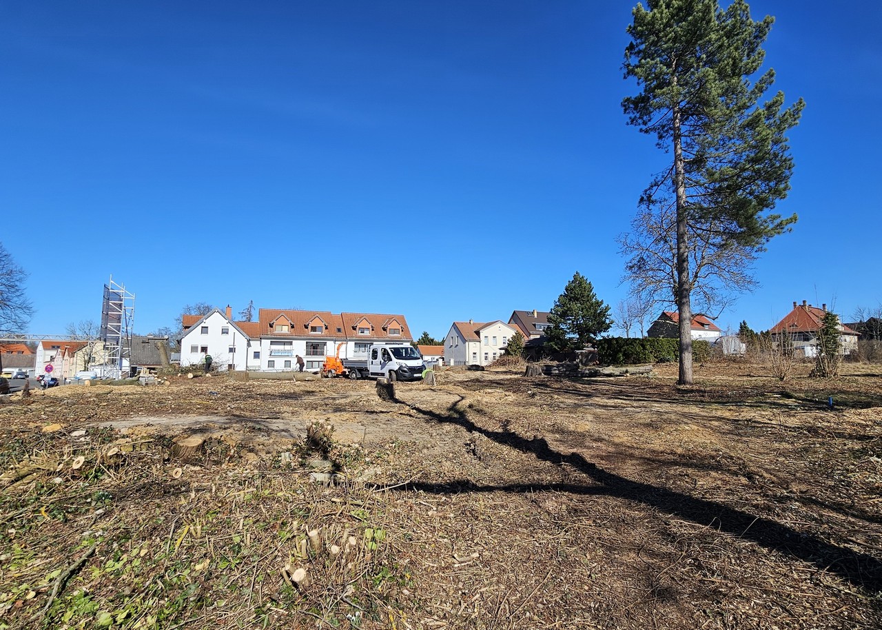 Vorbereitete Baufläche in Portitz mit gerodetem Grundstück, Baustellenfahrzeug und umliegender Wohnbebauung
